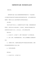 《聪明的阿凡提》教学案例与反思.doc