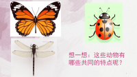 二年级美术上册 对折剪纸.ppt