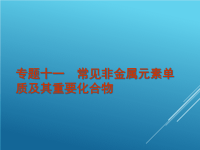 届高考化学(人教版)总复习专题常见非金属元素单质及其重要化合物课件PPT课件.ppt