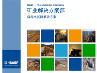 BASF 高效煤泥水处理技术.pdf