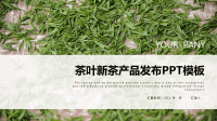 简约经典高端共赢未来茶叶新茶产品发布PPT模板.pptx