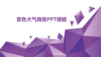 紫色大气商务工作总结计划PPT模板.pptx