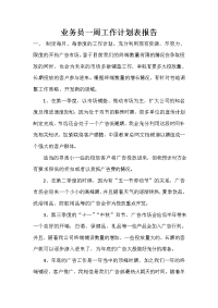 业务员一周工作计划表报告.doc