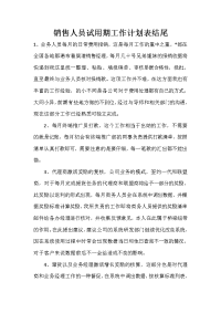 销售人员试用期工作计划表结尾.doc