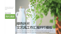 绿色叶片文艺风经典高端工作汇报PPT模板.pptx