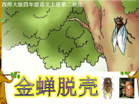 西师大版小学四年级上册语文第8课《金蝉脱壳》课件PPT.ppt