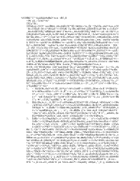 关于学习习惯的四年级家长会发言稿.doc
