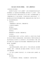 幼儿园小班语言教案 (2).doc