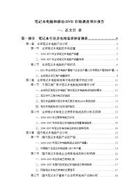 笔记本和移动DVD应用行业项目报告书.doc