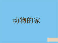 《动物的家》课件PPT.ppt