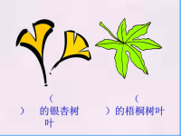 《蓝色的树叶》课件PPT讲解.ppt