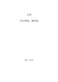 小班安全教案喊妈妈.doc