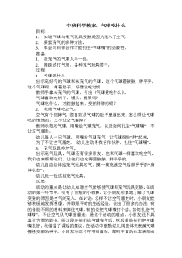 中班科学教案《气球吃什么》.doc