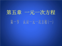 认识一元一次方程 1 课件PPT.ppt