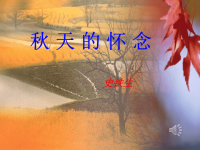 《秋天的怀念》优秀课件PPT资料.ppt