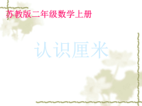 《认识厘米》公开课课件PPT.ppt