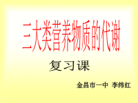 三大营养物质的代谢复习课课件PPT.ppt