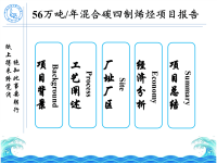 2013年全国化工设计大赛答辩PPT.pdf