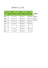 按销售员汇总订单数量统计excel销售报表模板.doc
