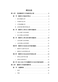 2010-2013年中国微型车行业发展形式及投资预测报告(下).doc