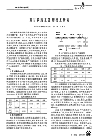 双甘膦废水处理技术研究.pdf