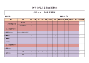 分子公司月度资金预算表电子教案.doc