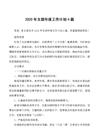 2020年支部年度工作计划清单4篇.docx