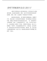 清明节黑板报怀念亲人的日子文字稿.pdf