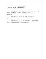 元旦黑板报黑板报图片文字稿.pdf