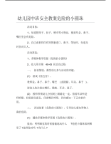 幼儿园中班安全教案危险的小圆珠.pdf