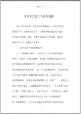 市委党支部精品工作计划表格.pdf