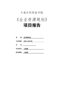 项目报告-企业资源规划.doc