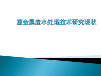 金属废水处理技术分类及展望ppt课件.ppt