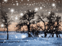 七年级美术课件剪纸雪花艺术课件.ppt