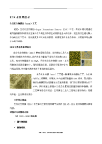 最新EBR水处理技术.doc