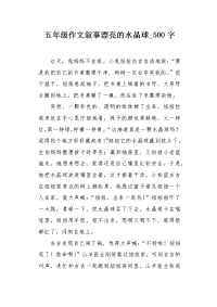 五年级作文叙事漂亮的水晶球500字.docx