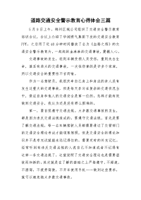 道路交通安全警示教育心得体会三篇.doc