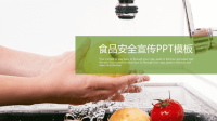 食品安全宣传PPT模板.pptx
