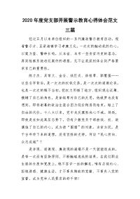2020年度党支部开展警示教育心得体会范文三篇.doc
