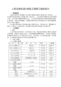 某某道路排水施工组织设计.doc