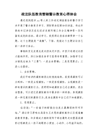 政法队伍教育整顿警示教育心得体会.doc