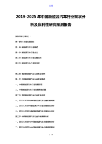 2019-2025年中国新能源汽车行业现状分析及赢利性研究预测报告.doc