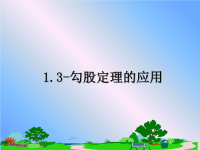 最新1.3-勾股定理的应用课件PPT.ppt