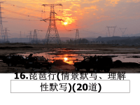 最新16.琵琶行(情景默写、理解性默写)(20道)课件PPT.ppt