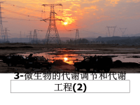 最新3-微生物的代谢调节和代谢工程(2)课件PPT.ppt