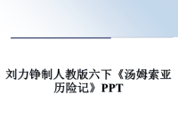 最新刘力铮制人教版六下《汤姆索亚历险记》PPT课件PPT.ppt