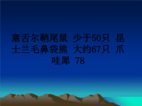 最新塞舌尔鞘尾鼠 少于50只 昆士兰毛鼻袋熊 大约67只 爪哇犀 78课件PPT.ppt