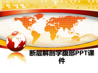 最新断层解剖学腹部PPT课件PPT课件.ppt