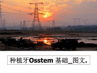 最新种植牙Osstem 基础_图文.课件PPT.ppt