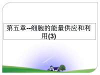 最新第五章--细胞的能量供应和利用(3)课件PPT.ppt